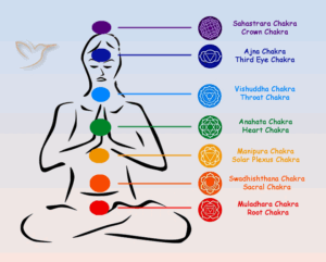 Descubre cuál es el chakra que desbloquea la amatista descubre-cual-es-el-chakra-que-desbloquea-la-amatista