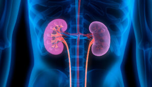 Descubre los signos de un mal funcionamiento renal descubre-los-signos-de-un-mal-funcionamiento-renal