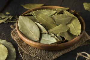 Dónde colocar la hoja de laurel en el calzado para protección donde-colocar-la-hoja-de-laurel-en-el-calzado-para-proteccion