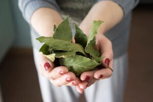 la-forma-adecuada-de-colocar-el-laurel-en-la-entrada-de-tu-hogar