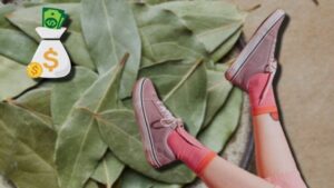 La forma adecuada de colocar el laurel en tu cartera la-forma-adecuada-de-colocar-el-laurel-en-tu-cartera