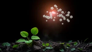 Descubre los sorprendentes secretos del ágata verde y cómo puede transformar tu vida descubre-los-sorprendentes-secretos-del-agata-verde-y-como-puede-transformar-tu-